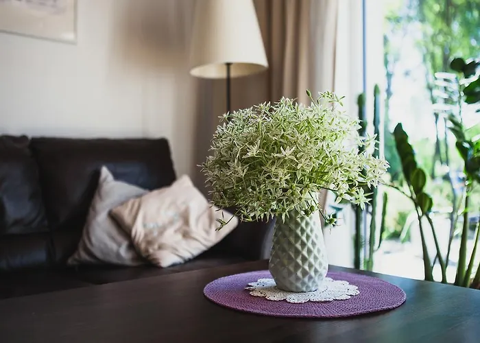 Guest house Saka Vacation House