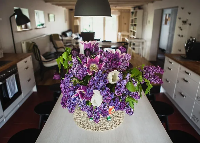 Guest house Saka Vacation House