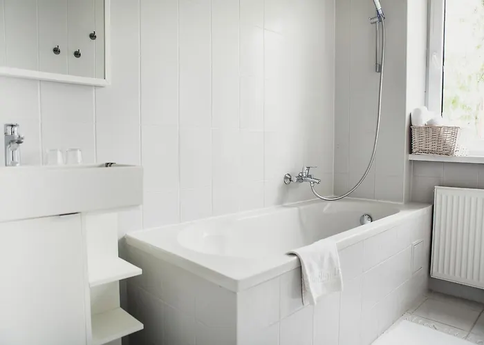 Saka Vacation House 4* Druskininkai