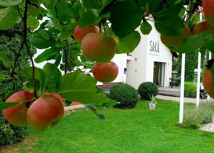 Guest house Saka Vacation House 4*